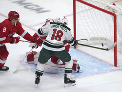 Wild Red Wings Hockey