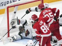 Wild Red Wings Hockey