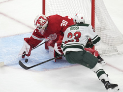 Wild Red Wings Hockey