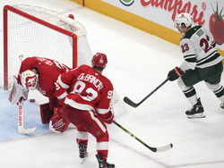 Wild Red Wings Hockey