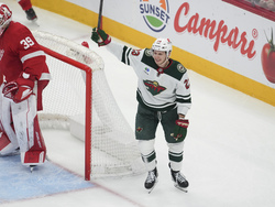 Wild Red Wings Hockey