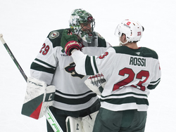 Wild Red Wings Hockey