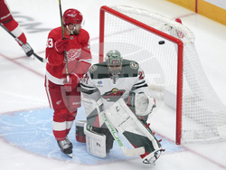 Wild Red Wings Hockey