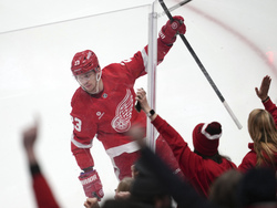 Wild Red Wings Hockey