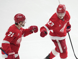 Wild Red Wings Hockey
