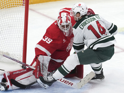 Wild Red Wings Hockey