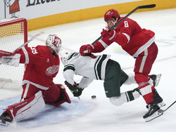 Wild Red Wings Hockey