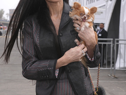 2025 Film Independent Spirit Awards - Red Carpet