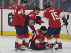 Kraken Panthers Hockey