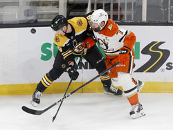 Ducks Bruins Hockey