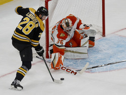 Ducks Bruins Hockey