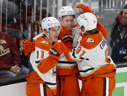 Ducks Bruins Hockey