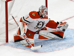 Ducks Bruins Hockey