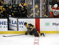 Ducks Bruins Hockey