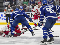 Hurricanes Maple Leafs Hockey