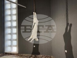 Казанлък - "Гладът на сърцето" - изложба