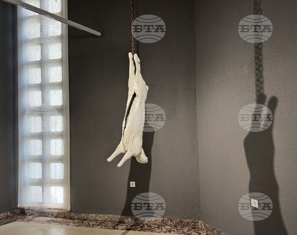 Казанлък - "Гладът на сърцето" - изложба