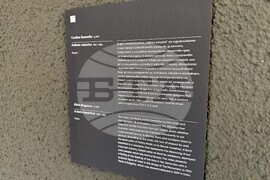 Казанлък - "Гладът на сърцето" - изложба