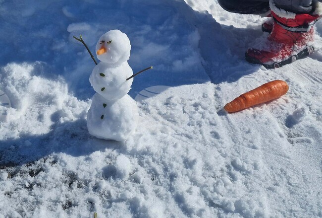 Учениците от Българския просветен център „Иван Вазов“ в Копенхаген, Дания, ще бъдат в зимна ваканция до 21 февруари