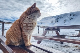 Рила планина - туризъм - зимни спортове