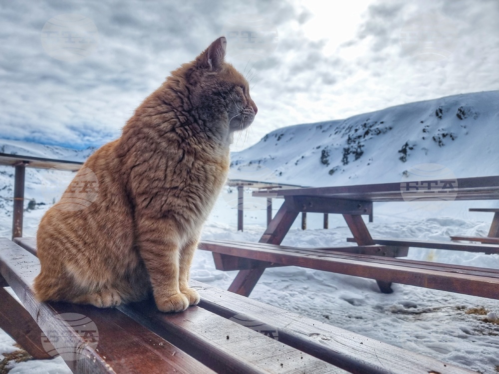 Рила планина - туризъм - зимни спортове