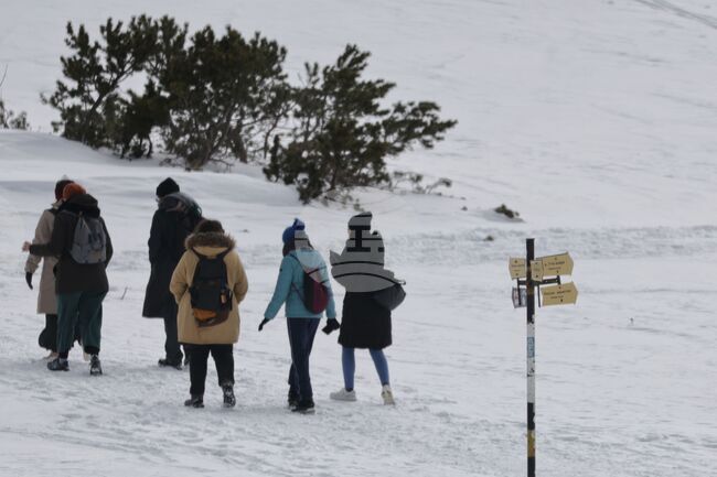 Броят на пътувалите българи през четвъртото тримесечие на 2024 г. намалява на годишна база, по данни на НСИ