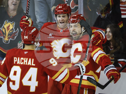 Sharks Flames Hockey