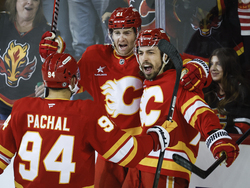 Sharks Flames Hockey