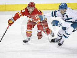 Sharks Flames Hockey
