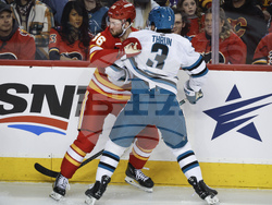 Sharks Flames Hockey
