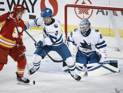 Sharks Flames Hockey