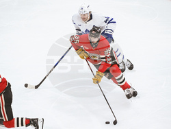 Maple Leafs Blackhawks Hockey