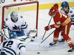 Sharks Flames Hockey
