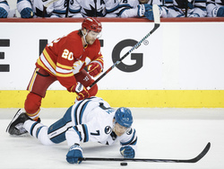 Sharks Flames Hockey
