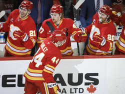 Sharks Flames Hockey