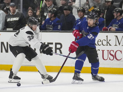 California Fires Charity Game Hockey