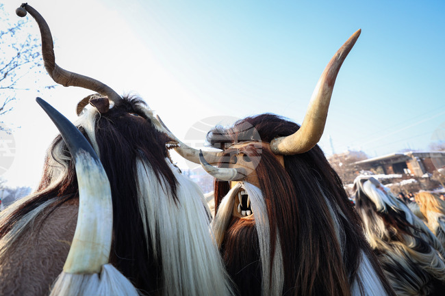 Средец - кукерски игри