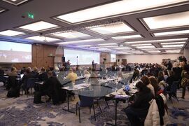 Местна власт - B40 - форум