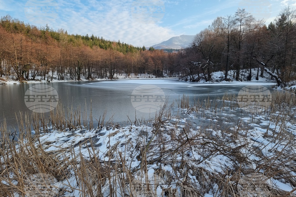 Прогноза за времето
