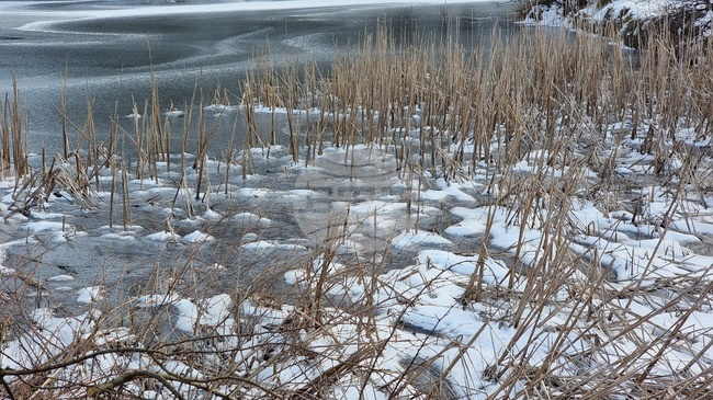 Румънски военни взривиха лед, който блокира река в Северна Румъния и предизвика наводнения