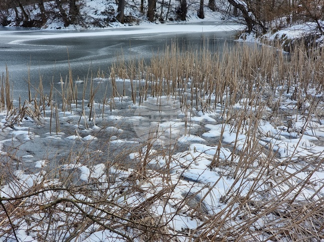 Румънски военни взривиха лед, който блокира река в Северна Румъния и предизвика наводнения