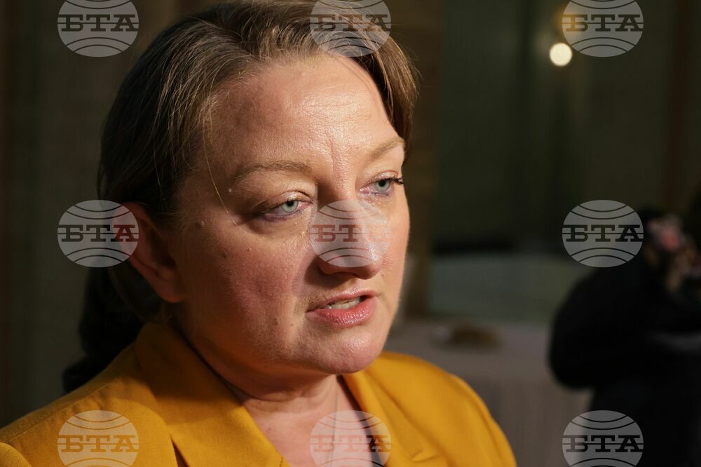GERB Deputy Floor Leader Sacheva Comments on MECh, Budget