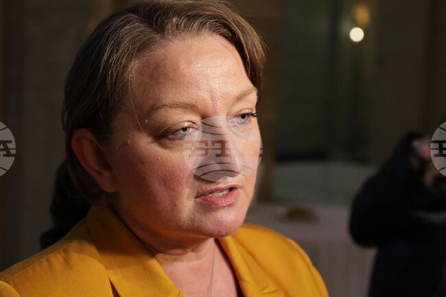 GERB Deputy Floor Leader Sacheva Comments on MECh, Budget