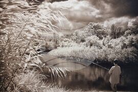 Варна - Ангел Ненов - „65“ - фотоизложба