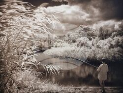 Варна - Ангел Ненов - „65“ - фотоизложба