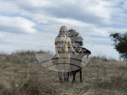 Кадри от „Стадото“ на Милко Лазаров, снимки – Red Carpet films