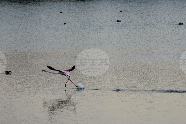 Рекорден приток на вода в язовирите в Кипър дава частично облекчение на водната криза
