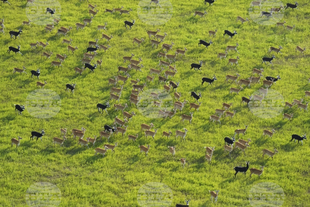 Climate COP16 Biodiversity