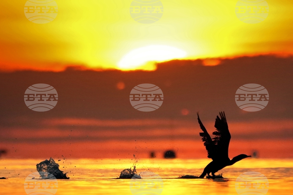 Climate COP16 Biodiversity