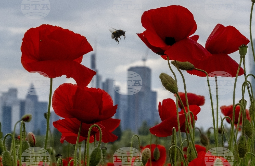 Climate COP16 Biodiversity